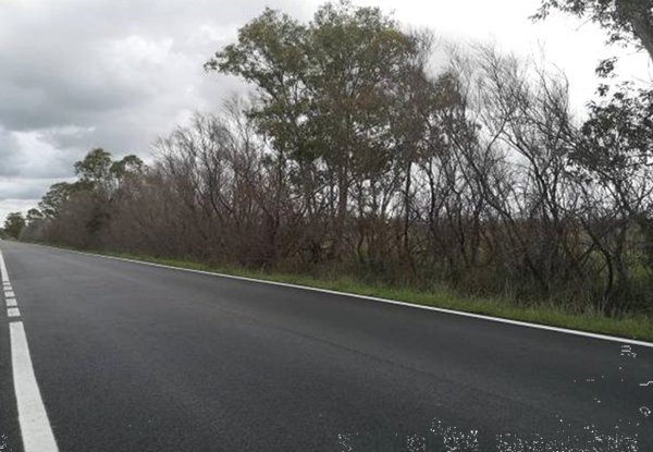 terreno edificabile in vendita a Fiumicino