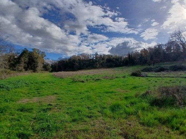 terreno agricolo in vendita a Fiumicino in zona Aranova