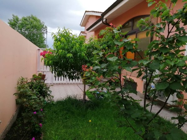 esavano in vendita a Fiumicino