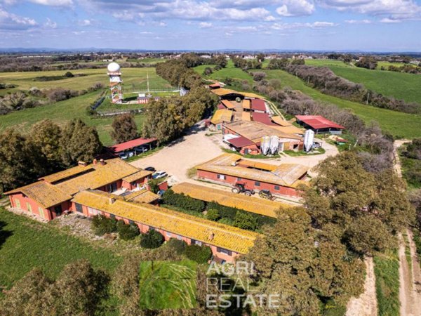 terreno agricolo in vendita a Fiumicino in zona Tragliata