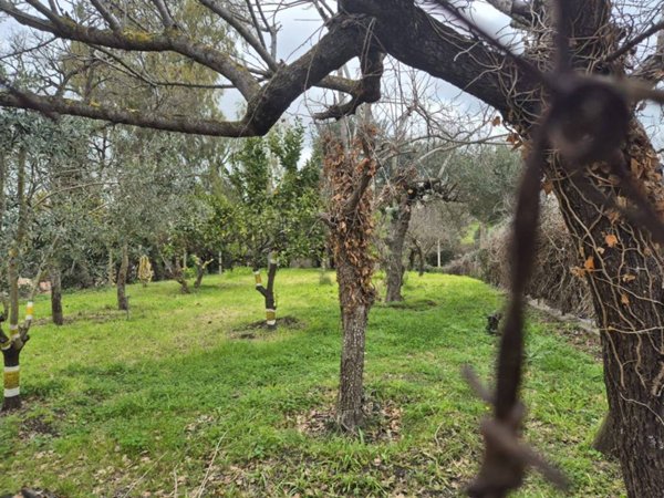 terreno agricolo in vendita a Fiumicino in zona Aranova