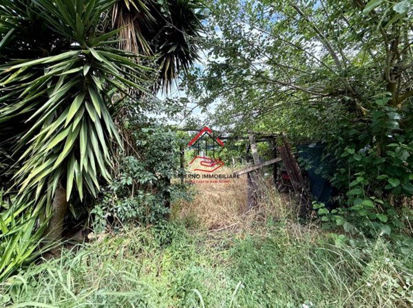 terreno agricolo in vendita a Fiumicino in zona Isola Sacra