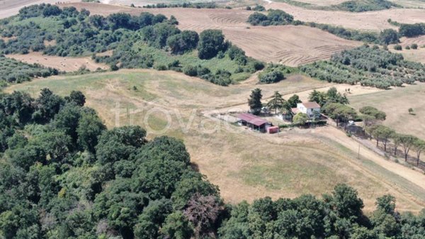 casa indipendente in vendita a Fiumicino in zona Testa di Lepre