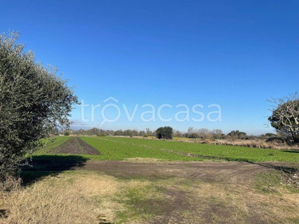 terreno agricolo in vendita a Fiumicino in zona Maccarese