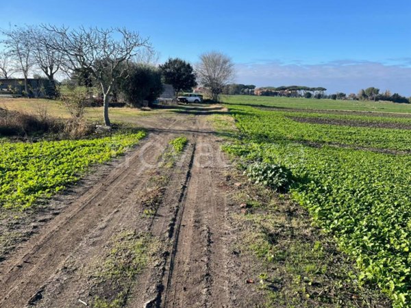 terreno agricolo in vendita a Fiumicino