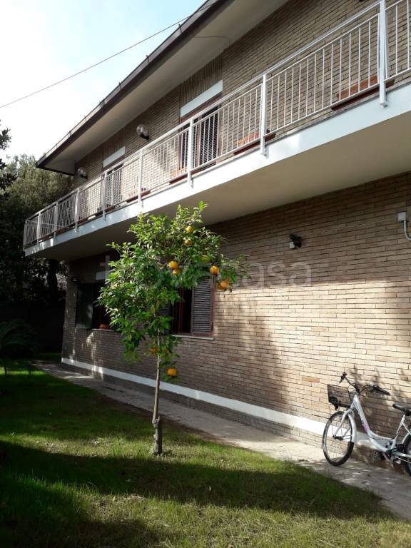 casa indipendente in vendita a Fiumicino in zona Fregene