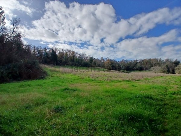 terreno agricolo in vendita a Fiumicino in zona Torrimpietra