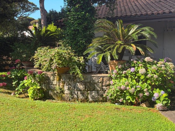 casa indipendente in vendita a Fiumicino in zona Fregene