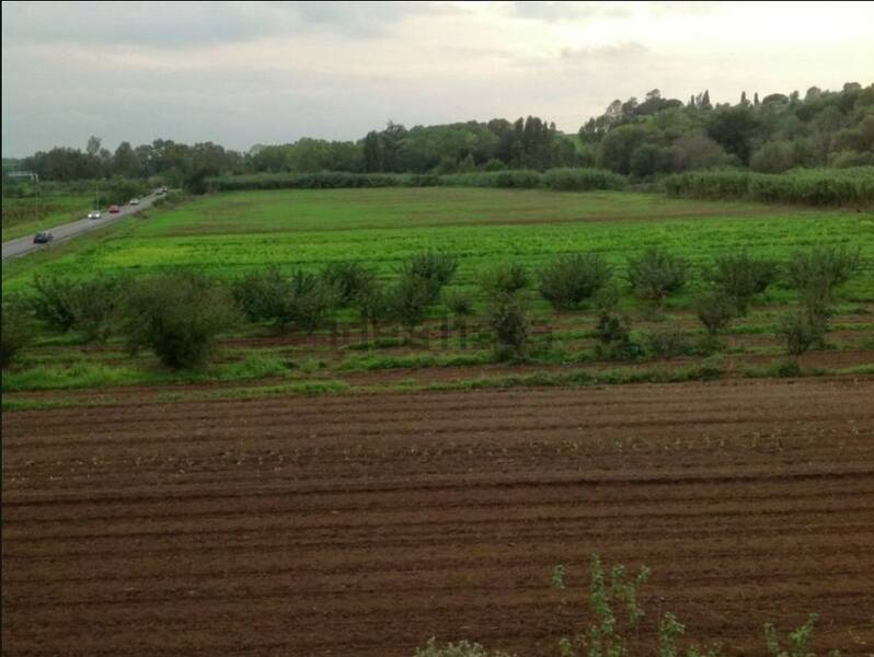 terreno agricolo in vendita a Fiumicino