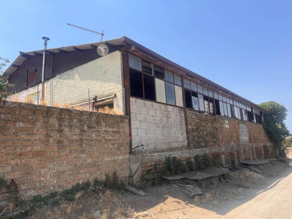 azienda agricola in vendita a Fiumicino in zona Tragliata