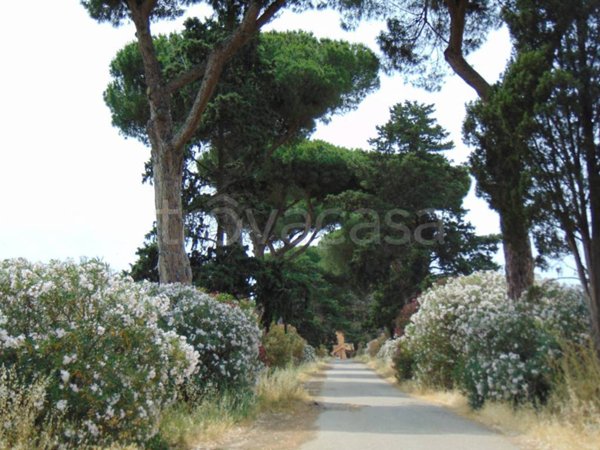 appartamento in vendita a Fiumicino