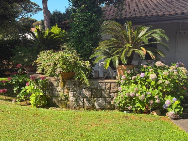 casa indipendente in vendita a Fiumicino in zona Fregene