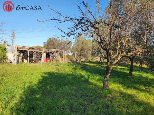 casa indipendente in vendita a Fiumicino in zona Tragliata