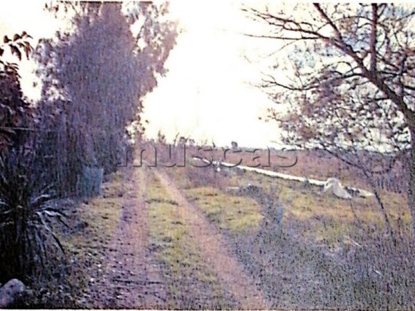 terreno in vendita a Fiumicino in zona Fregene