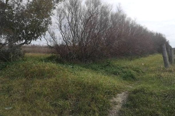 terreno in vendita a Fiumicino in zona Aeroporto 