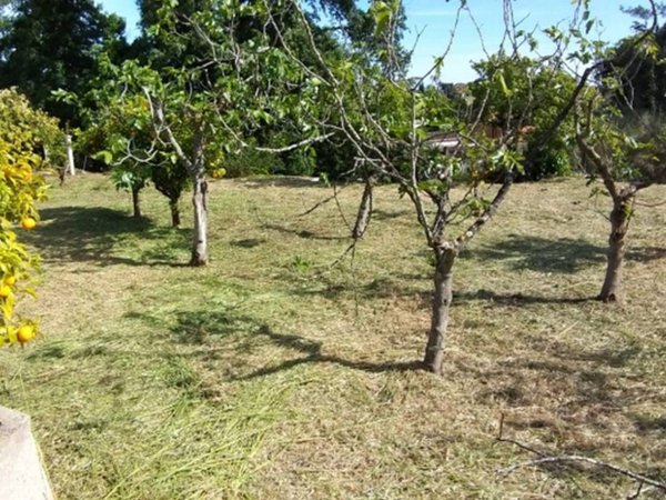 terreno in vendita a Fiumicino in zona Aranova