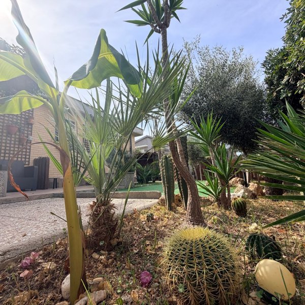 casa indipendente in vendita a Fiumicino in zona Focene