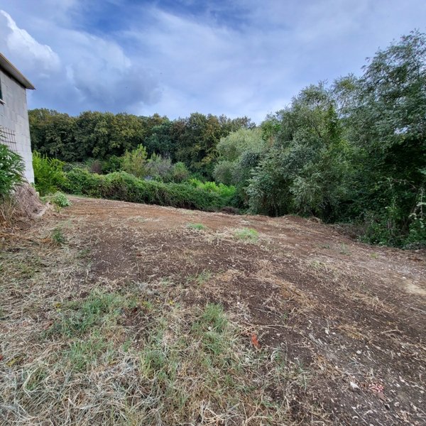 terreno agricolo in vendita a Fonte Nuova in zona Torre Lupara