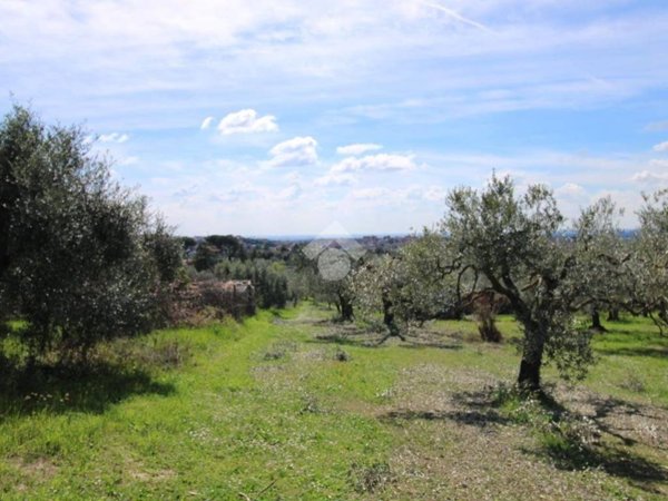 terreno agricolo in vendita a Fonte Nuova