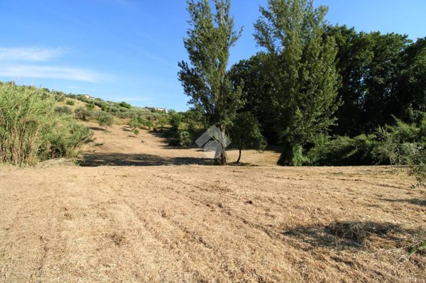 terreno agricolo in vendita a Fonte Nuova in zona Torre Lupara