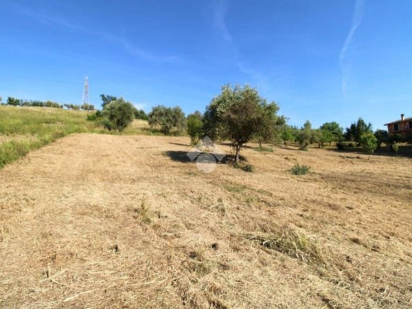 terreno agricolo in vendita a Fonte Nuova