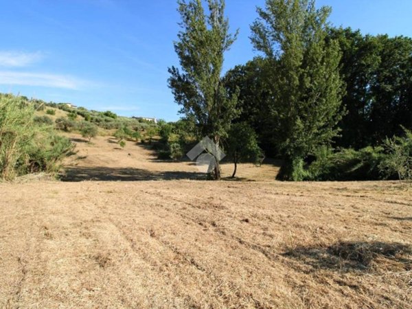 terreno agricolo in vendita a Fonte Nuova