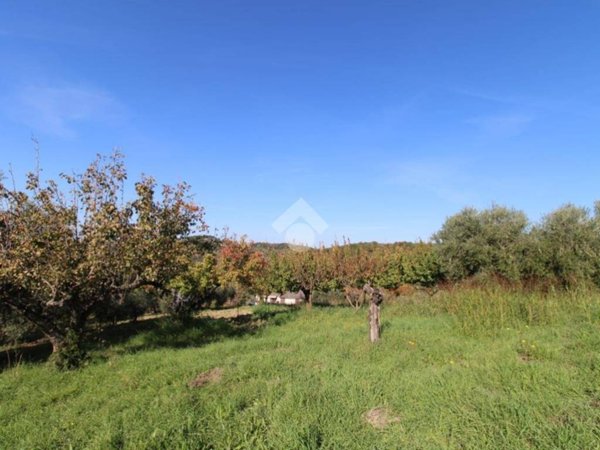 terreno agricolo in vendita a Fonte Nuova