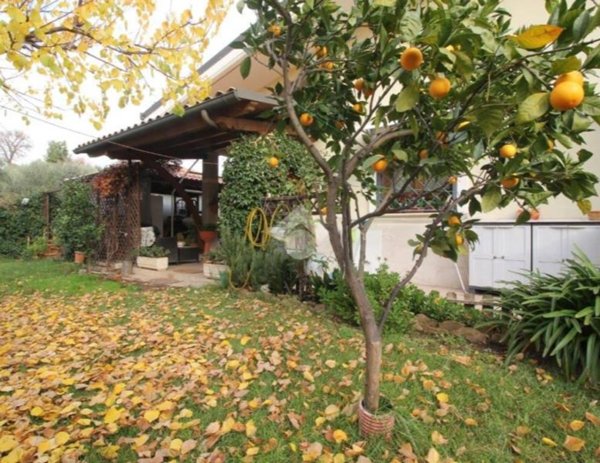 casa indipendente in vendita a Fonte Nuova in zona Torre Lupara