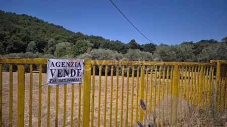 terreno agricolo in vendita a Fonte Nuova