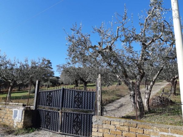 terreno agricolo in vendita a Fonte Nuova in zona Santa Lucia