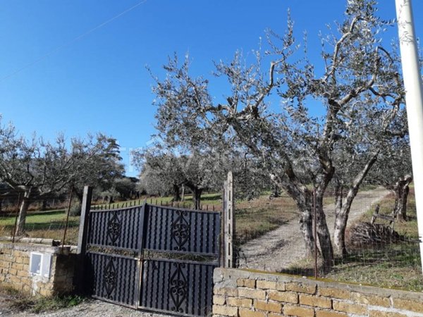 terreno agricolo in vendita a Fonte Nuova in zona Santa Lucia