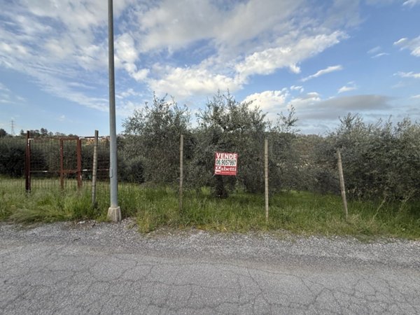 terreno agricolo in vendita a Fonte Nuova in zona Torre Lupara