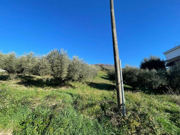terreno agricolo in vendita a Fonte Nuova in zona Torre Lupara