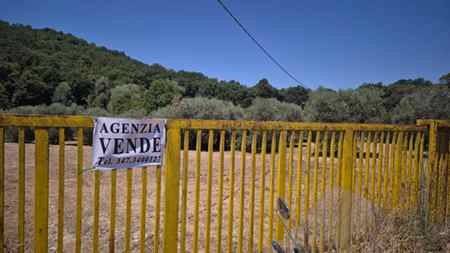 terreno agricolo in vendita a Fonte Nuova