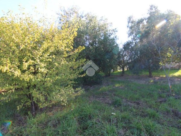 terreno agricolo in vendita a Fonte Nuova