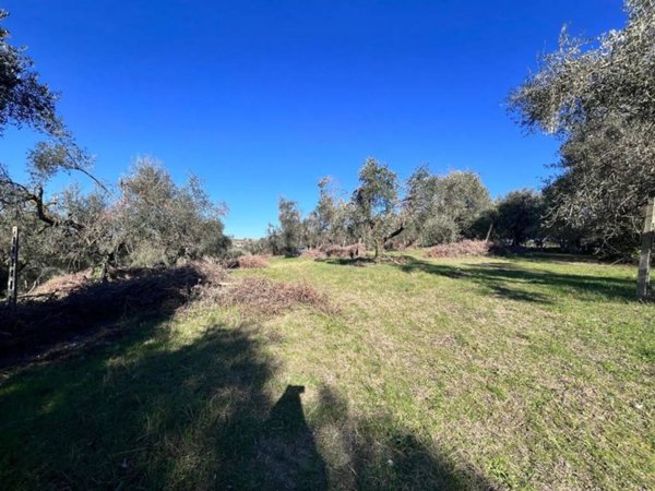 terreno agricolo in vendita a Fonte Nuova in zona Santa Lucia