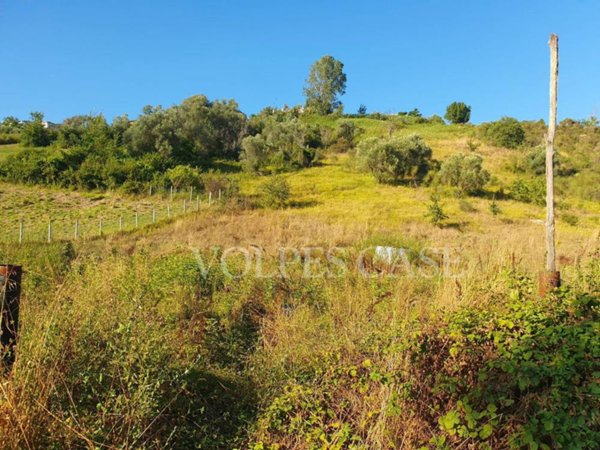 terreno agricolo in vendita a Fonte Nuova