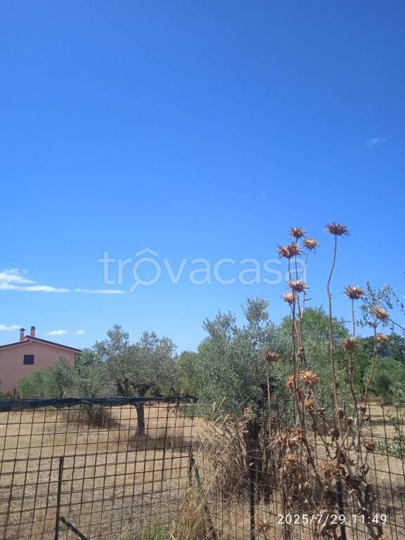 terreno agricolo in vendita a Fonte Nuova