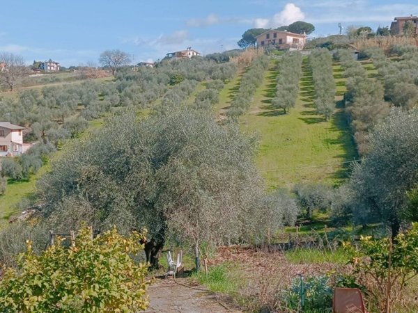 terreno agricolo in vendita a Fonte Nuova in zona Santa Lucia