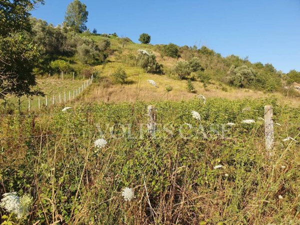 terreno agricolo in vendita a Fonte Nuova