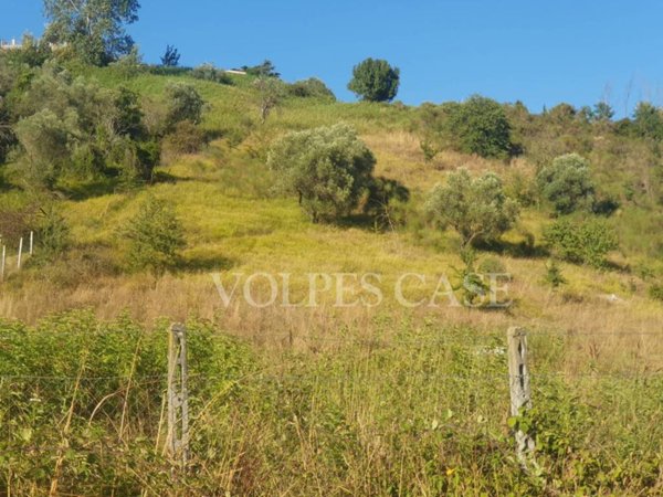 terreno agricolo in vendita a Fonte Nuova