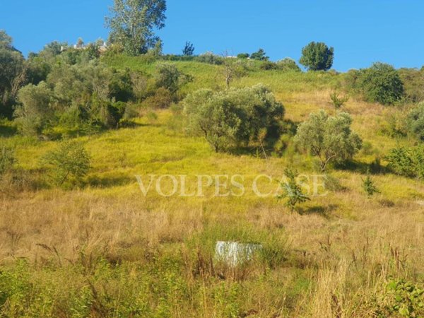 terreno agricolo in vendita a Fonte Nuova