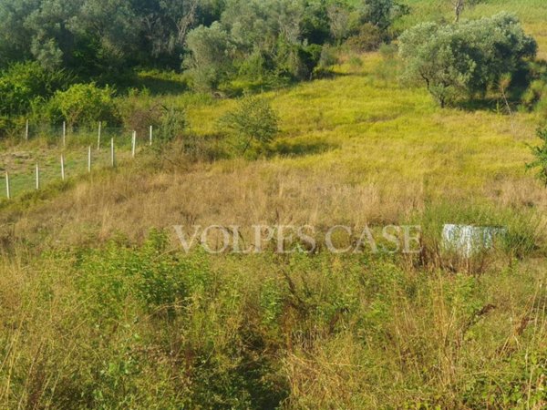 terreno agricolo in vendita a Fonte Nuova