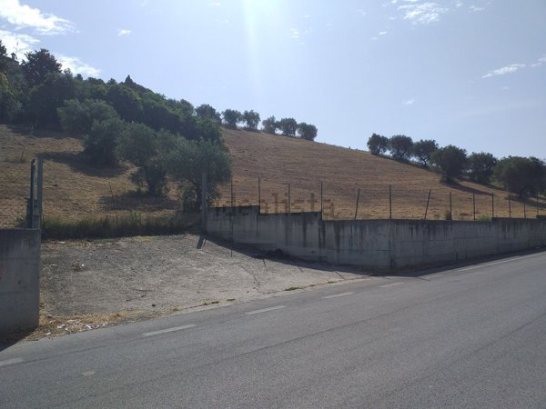 terreno agricolo in vendita a Fonte Nuova in zona Torre Lupara