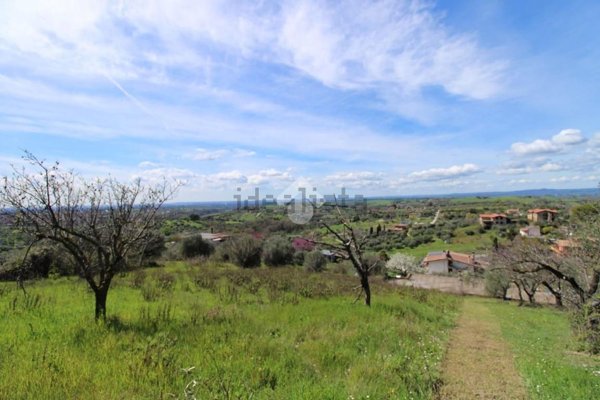 terreno agricolo in vendita a Fonte Nuova in zona Torre Lupara