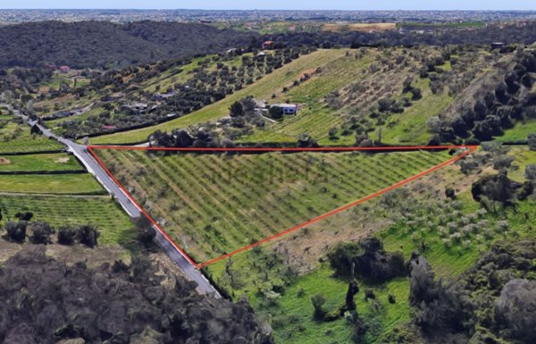 terreno agricolo in vendita a Fonte Nuova