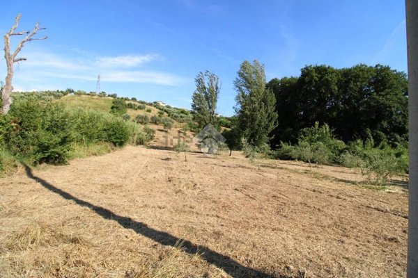 terreno agricolo in vendita a Fonte Nuova
