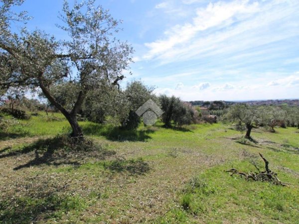 terreno agricolo in vendita a Fonte Nuova in zona Torre Lupara