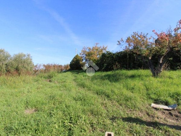 terreno agricolo in vendita a Fonte Nuova