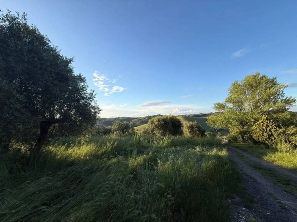 terreno agricolo in vendita a Fonte Nuova in zona Selva dei Cavalieri